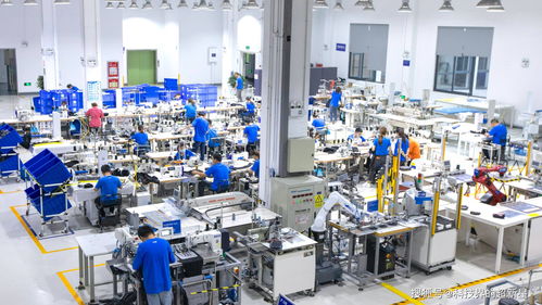 捂了三年，阿里的犀牛工廠到底在“織”什么？